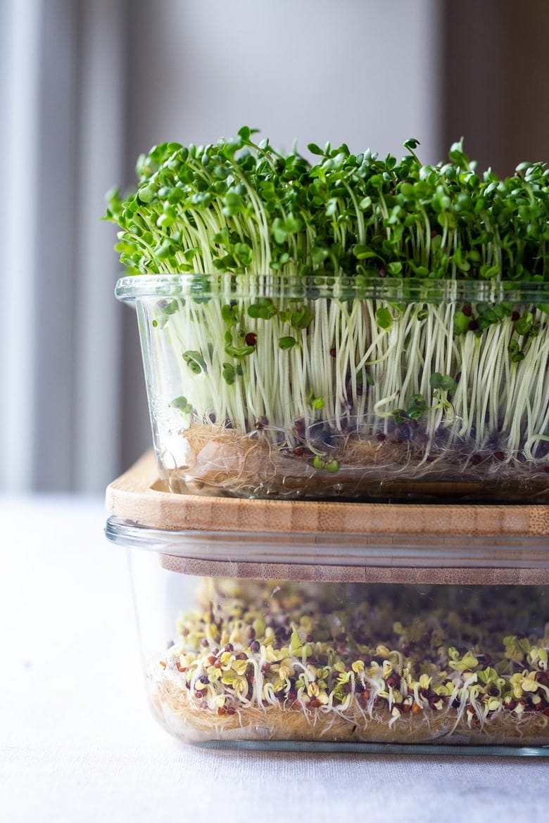Key microgreens benefits